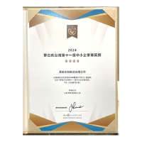 2024 年里程碑照片