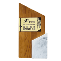 2024 年里程碑照片